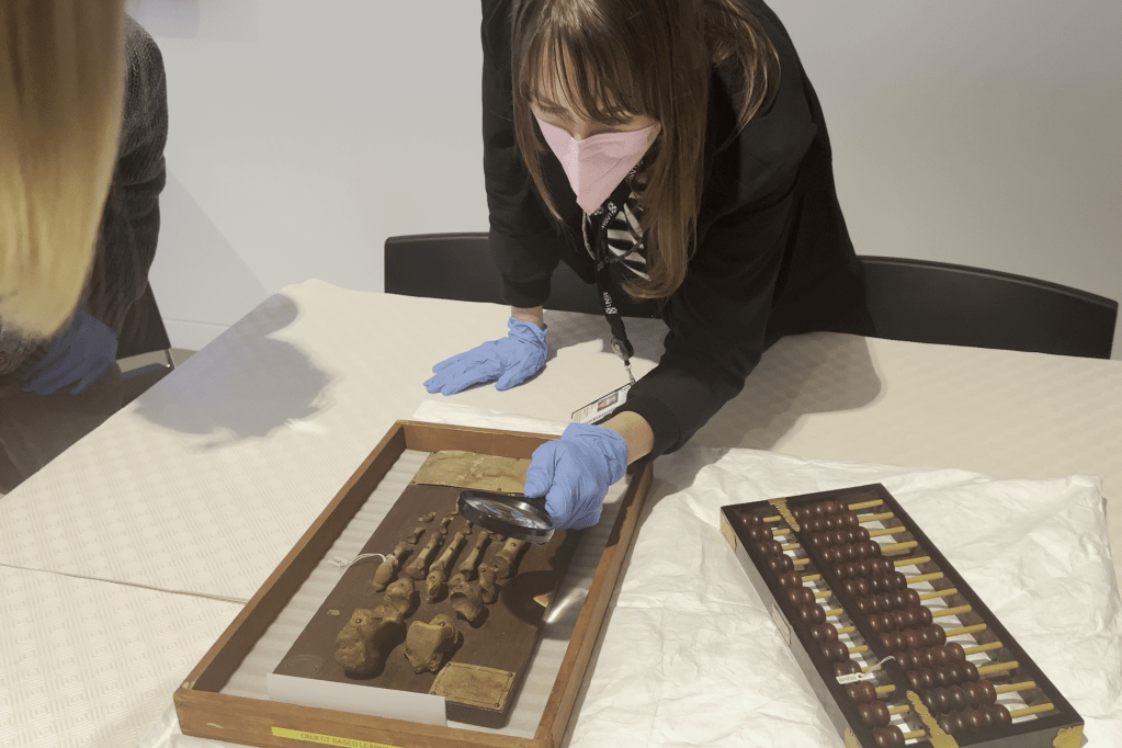 Object-based learning at the Chau Chak Wing Museum (Sydney node)