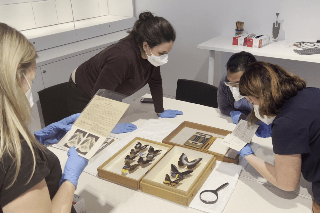 Object-based learning at the Chau Chak Wing Museum (Sydney node)