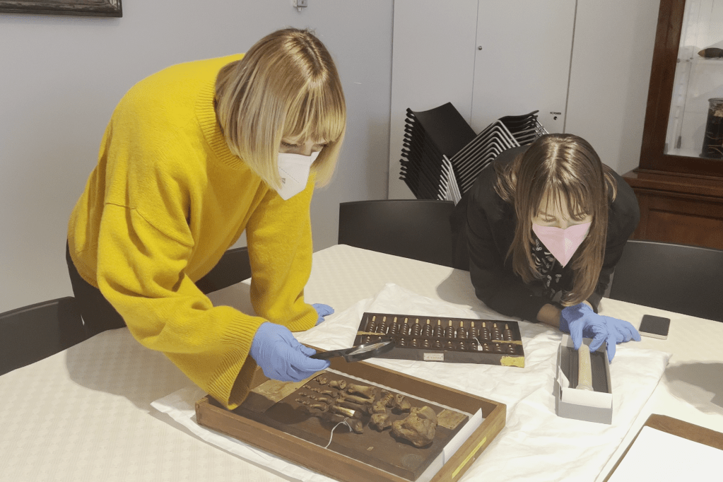 Object-based learning at the Chau Chak Wing Museum (Sydney node)